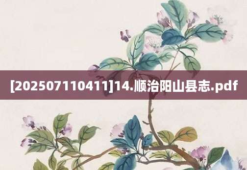 [202507110411]14.顺治阳山县志.pdf