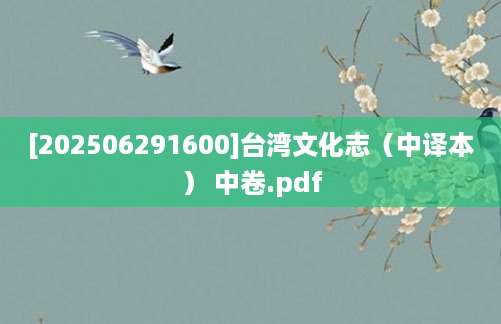 [202506291600]台湾文化志（中译本） 中卷.pdf